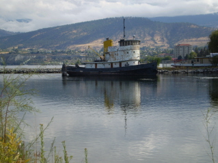 Old ships anchored, part of a paddle wheeler can be seen on the right, Mt Campbell in the background, Channel Pathway 2011-10.